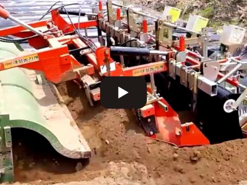 Automatic machinery for planting garlic