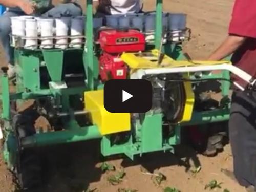 Seedling planting machine