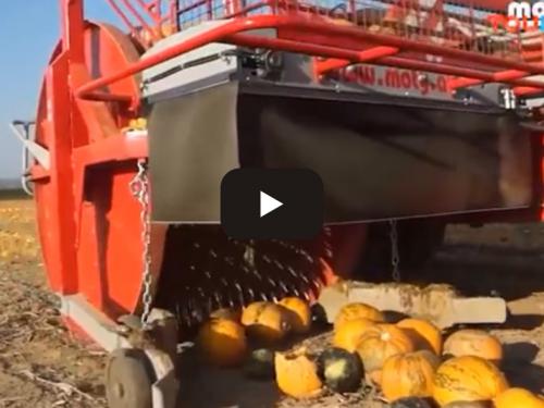 Income melon agricultural machinery