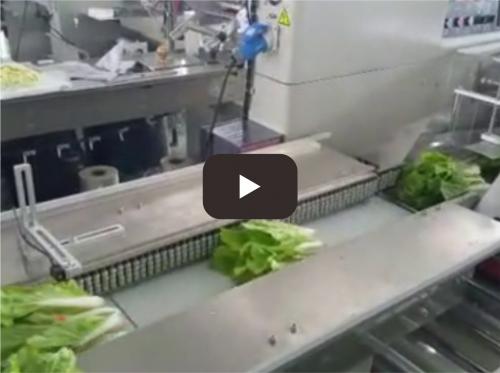 Automatic fruit and vegetable packaging machine
