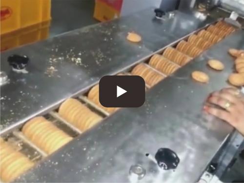 Biscuit processing production line