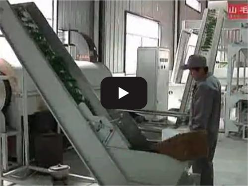 Tea processing production line