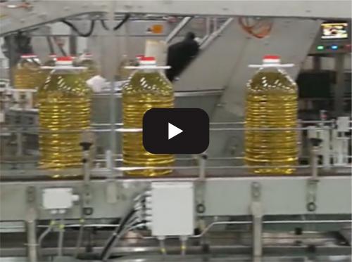 Edible oil production line-02