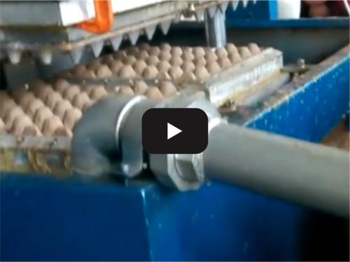 Reciprocating semi-automatic egg tray production l
