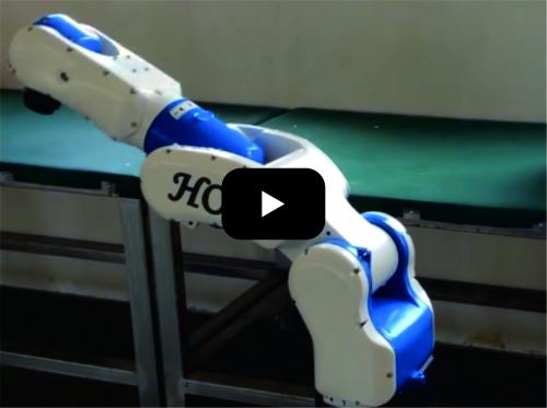 Multipurpose articulated robot