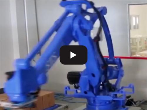 Industrial robot palletizing application - large l