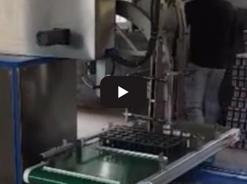 Automatic seedling bag production line